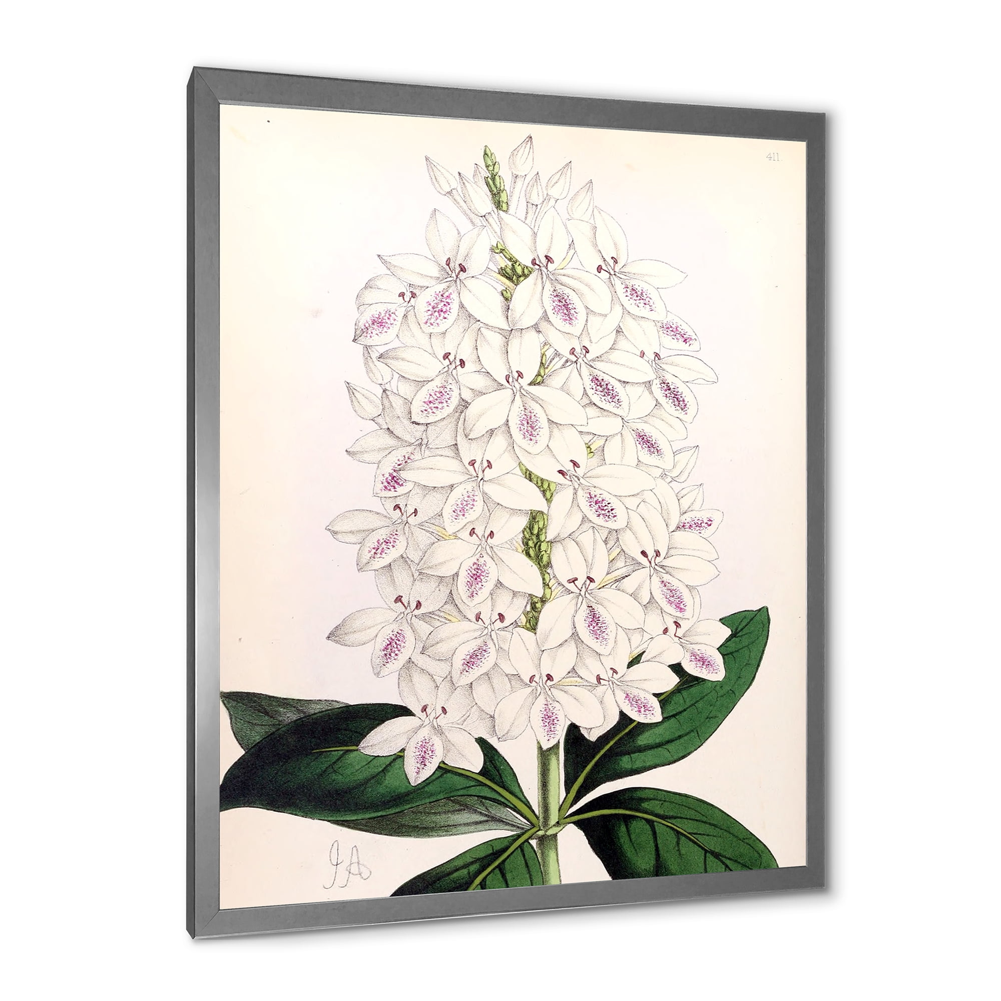 Designart 'Ancient White Orchid III' Traditional Framed Art Print