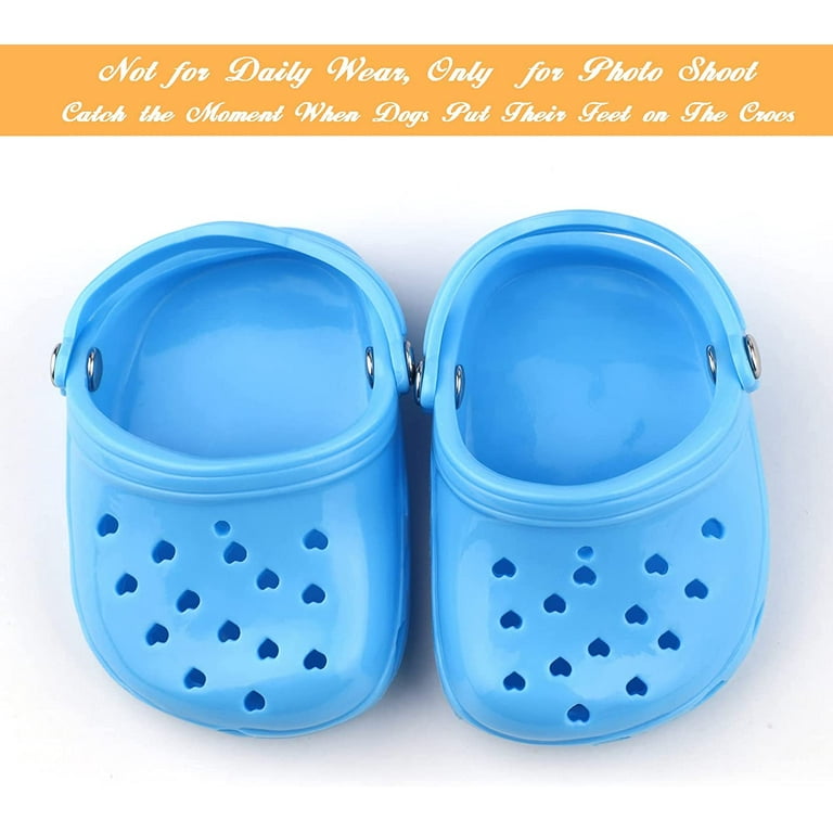 4 PCS Small Dog Crocs, Shoes, Candy Colors Sandals for Photo, Doggy Rubber  Slipper White