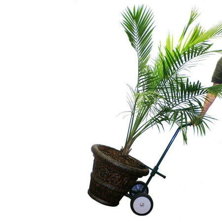 Harper Trucks Steel Potted Plant And Pot Mover With 8 Flat Free Harper Trucks Steel Potted Plant And Pot Mover With 8 Flat Free Wheels