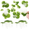 thumbnail image 3 of CIMAXIC 2 Packs/36PCS Simulated Duckweed Plant Decor Plastic Rooted Water Plant (Green),0.98"X0.98"X0.98", 3 of 4