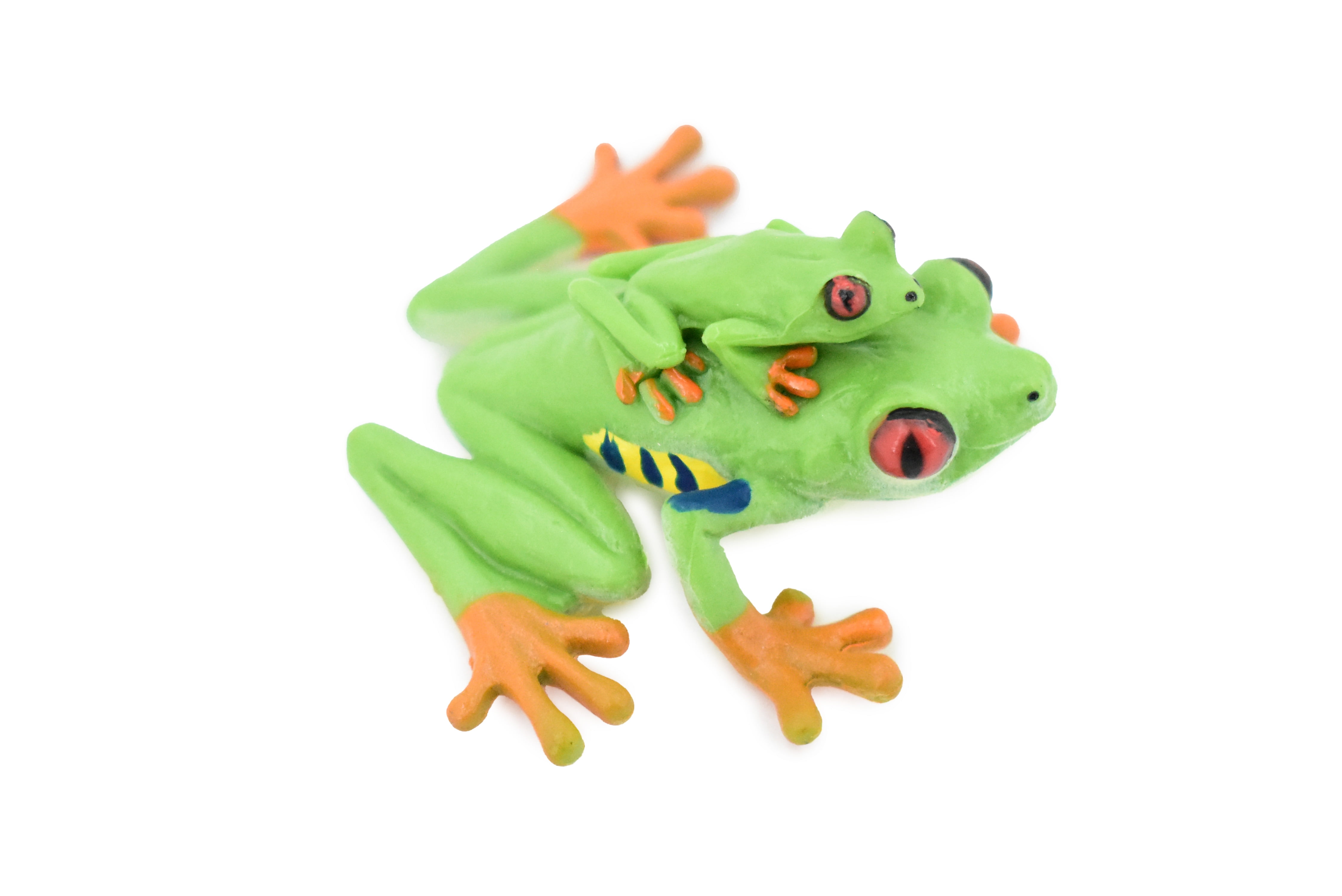 Frog, Red-Eyed Tree Frog with Baby, Museum Quality, Rubber Toy