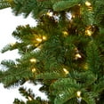 thumbnail image 3 of Nearly Natural Clear Prelit LED Green Decorated Fir Christmas Tree, 8', 3 of 7
