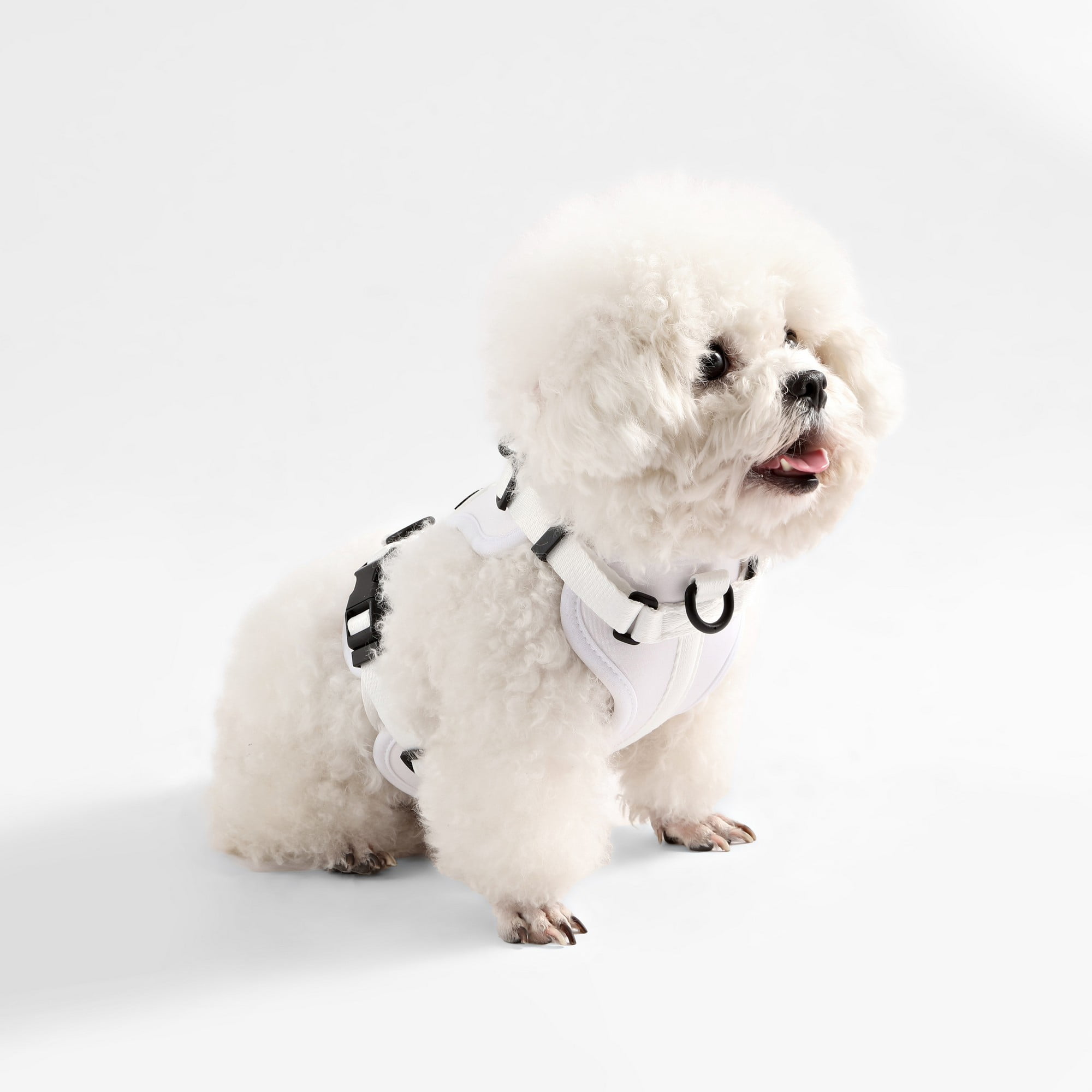THE LICKER STORE Arlo Extra Small Adjustable Soft Padded No Pull Pet Harness with 3 Buckles and 3 Leash Clips, White, HNS1000F