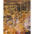thumbnail image 3 of Gavrilis, John 12x14 Black Modern Framed Museum Art Print Titled - Autumn Detail, 3 of 5
