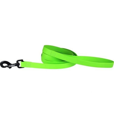UPC: 0024764263563 | Leather Brothers 0.75 in. x 6 ft. Carnival Biothane Dog Lead Light Gray