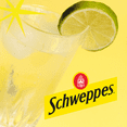 thumbnail image 5 of Schweppes Lemon Lime Sparkling Seltzer Water - 12, 12oz cans - Refreshing and Crisp Lemon Lime Flavor - Perfect Alone or Mixed - 12 Pack, 5 of 5