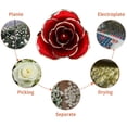 thumbnail image 4 of Rose en Or Rouge 24k Véritable Rose Trempée dans l'Or, 4 of 4