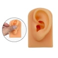 thumbnail image 4 of Accesorios de visualización Baoblaze modelo de oreja de silicona suave para perforación y enseñanza, 4 of 8
