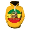 thumbnail image 3 of Sudadera con capucha con estampado 3D de la bandera de Etiopía, emblema de león, tótem para hombres y niños, ropa de calle de moda, sudadera con capucha unisex, ropa genial Harajuku Y2k, 3 of 5