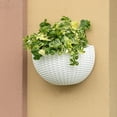thumbnail image 3 of Yahome Outdoor Imitation Rattan Wall Planter 1 Pcs Semicircle Plastic Hanging Flower Pot Wall-Mounted Plant Baskets Planter Container with Drainage,for Garden Balcony Fence Window (White), 3 of 7