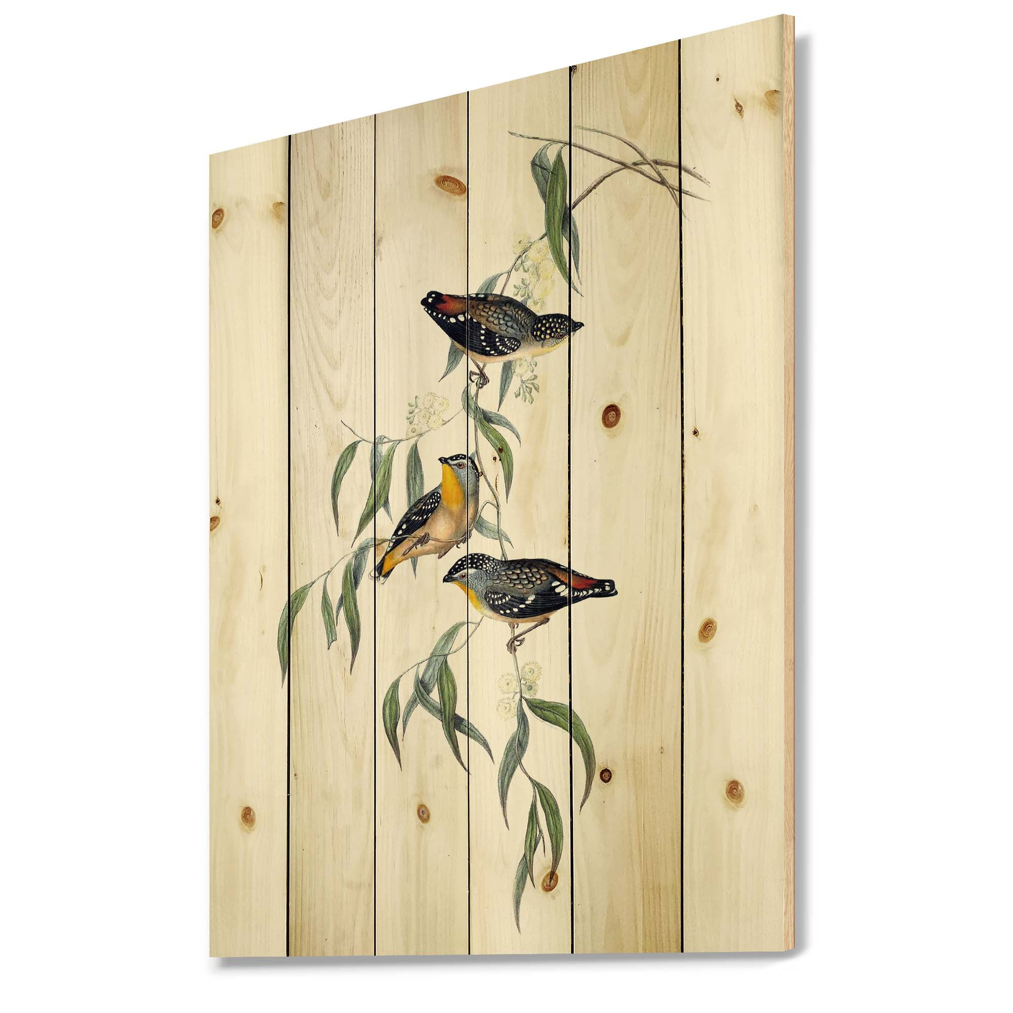 Designart 'Ancient Bird Life III' Traditional Print on Natural Pine Wood
