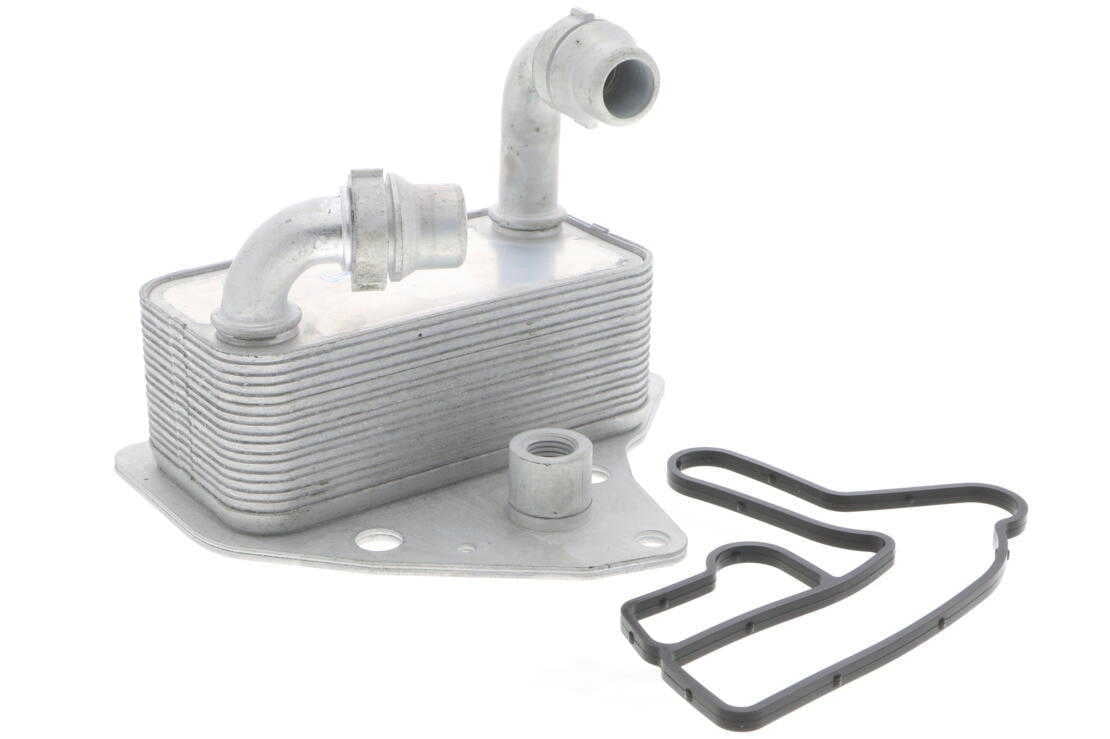 VEMO V40-60-2100 Oil Cooler, engine oil