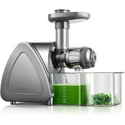 Aobosi Slow Masticating Juicer Machine, Cold Press juicer Extractor, Quiet Motor, Reverse Function, High Nutrient Fruit and Vegetable Juice with Juice Jug & Brush for Cleaning, Gray