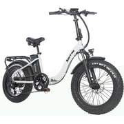 SOHOO EBIKE Narrak 48V500W13AH E-Bike 20" Folding Step-Thru Fat Tire Electric Bike Adult Mountain Bicycle foldable Snow Electric Bicycle(White)