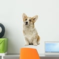 thumbnail image 1 of Welsh Corgi Pembroke 7 Wall Mural by Wallmonkeys Peel and Stick Graphic (18 in H x 15 in W) WM15586, 1 of 4