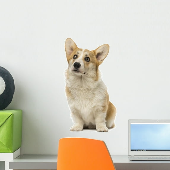 Welsh Corgi Pembroke 7 Wall Mural by Wallmonkeys Peel and Stick Graphic (18 in H x 15 in W) WM15586