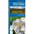 thumbnail image 1 of Idaho Trees & Wildflowers, James Kavanagh Paperback, 1 of 6