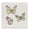 Delicate Butterflies Pastel Beige, variant on Stupell Industries Transitional Warm Watercolor Butterfly Canvas Art, 17 x 17, by Kim Allen