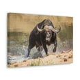 thumbnail image 2 of Water Buffalo Hunting Water Buffalo on Hunt Print Animal Wall Art Wildlife Canvas Prints Wall Art Ready to Hang Unframed, 2 of 18