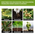 thumbnail image 3 of El alimento para plantas promueve el suplemento de plantas de enraizamiento para plantas de flores, árboles frutales, 3 of 9
