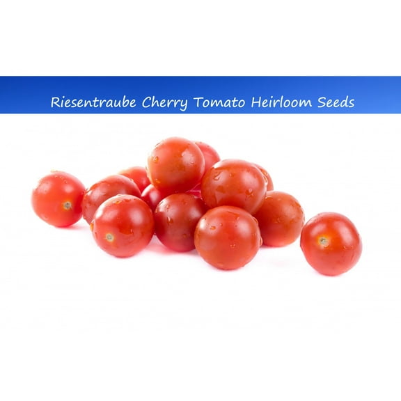 Tomato SEEDS - -Riesentraube Cherry Tomato- 10 Seeds- All Natural- Good for Sauce and Fresh- Freezing - -Great Addition to Salsa- Serendipity Seeds