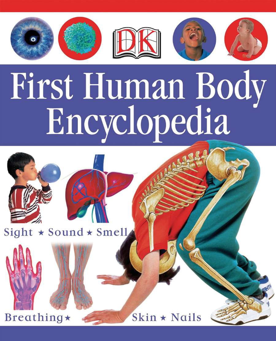 DK Children's Visual Encyclopedias: The Arts: A Visual