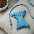 thumbnail image 5 of Vibrant Life Mesh Cat Harness & Leash Set, Blue, One Size Fits Most, 5 of 7