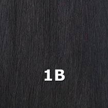 Alexander Remi Human Hair Weave Yaki 12 1b Off Black