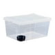 thumbnail image 4 of Caja de Alimentación para Reptiles, Terrario Transparente, Jaula de Hábitat, Caja de Transporte de Cría con Cuenco de Alimentación para Ranas, Ranas a 38x24x17cm, 4 of 10