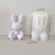 thumbnail image 3 of Pearl Rabbit Bear Ornament Plaster Silicone Mold Epoxy Resin Casting Jewelry Tool Making Diy Crafts Home Decoration, 3 of 4