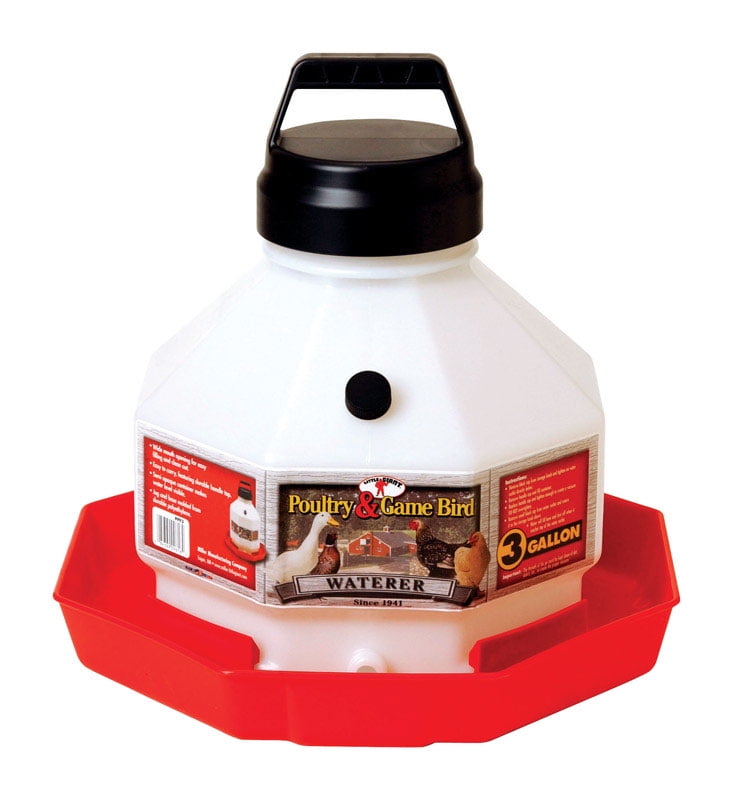 Little Giant 7906 3 Gallon Poultry Waterer for sale online 