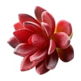 thumbnail image 2 of Artificial Succulent Plants, Realistic Faux Decor for Home, 2 of 8