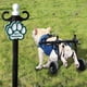 thumbnail image 5 of Ruedas Silla de Ruedas para Perro para Piernas Traseras Silla de Ruedas para Perro para Piernas Traseras Silla de Ruedas para Perro para Piernas Traseras Grande, 5 of 6