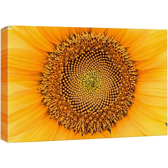 wall26 Canvas Print Wall Art Close Up Detail Spring Summer Sunflower Nature Floral Photography Realism Botanical Wilderness Zen Rustic Colorful Decorative for Living Room, Bedroom, Office - 12"x
