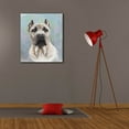 thumbnail image 6 of Epic Graffiti 'Cane Corso 2' by Barbara Keith, Canvas Wall Art, 26"x30", 6 of 8