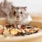 Vitakraft Menu Premium Hamster Food 2 lb