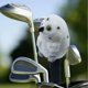 thumbnail image 4 of Funda de Felpa para Palo de Golf, Resistente a Los Arañazos, Diseño de Dibujos Animados, Funda Protectora Ideal para Hombres Y Mujeres, Perfecta para Pájaro conductor, 4 of 7