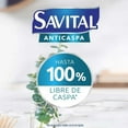 thumbnail image 5 of Savital Shampoo Anticaspa con Sabila Suavidad Increible y limpieza refrescante  (2 pack), 5 of 6