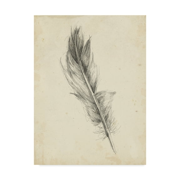 Trademark Fine Art 'UA CH Feather Sketch IV' Canvas Art by Ethan Harper
