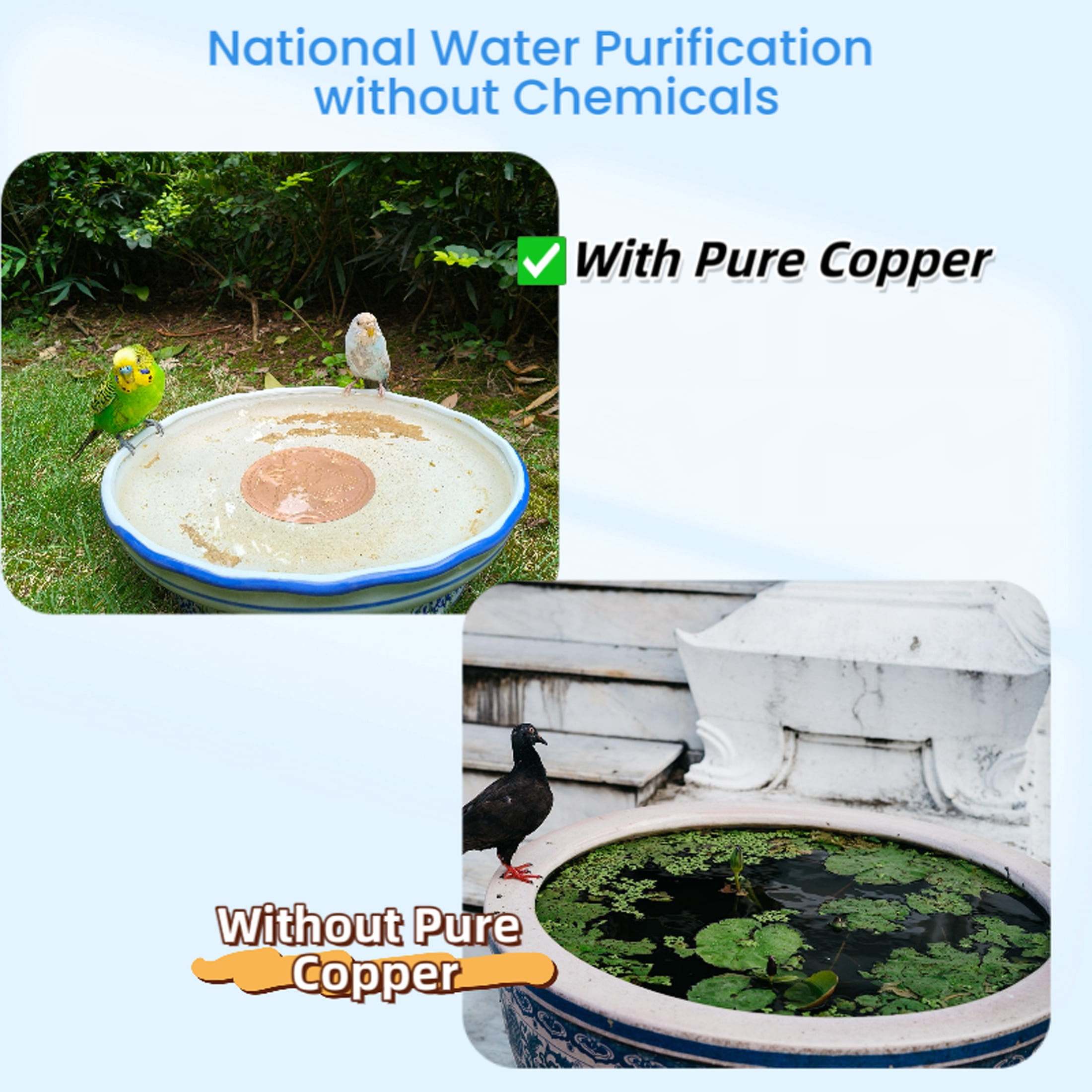 Nyhpar 4Pcs Bird Bath Copper Disk,99.99% Pure Copper Bird Bath Purification Disk,Universal Fit for Outdoor Ceramic/Concrete/Stone Bowl