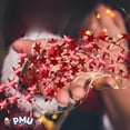 thumbnail image 2 of PMU 150 Ft Red Star Garland – Shiny Tinsel Wire Garland for Christmas, Halloween, Wedding & Birthday Party Decor, Holiday Garlands Ornament for Festive Home Decoration (6pc-25Ft Each), 2 of 7