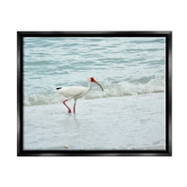 Bird Stepping Sea Waves Splash Animals & Insects Photograph Jet Black Framed Art Print Wall Art