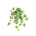 thumbnail image 1 of Toystoory Hojas falsas, vides, plantas colgantes artificiales, maceta de jardín de hojas Type3 NO3, 1 of 6