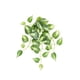 thumbnail image 5 of Moyic Hojas falsas Vides Plantas colgantes artificiales Guirnalda de hojas Flores de jardín Type2 NO2, 5 of 6