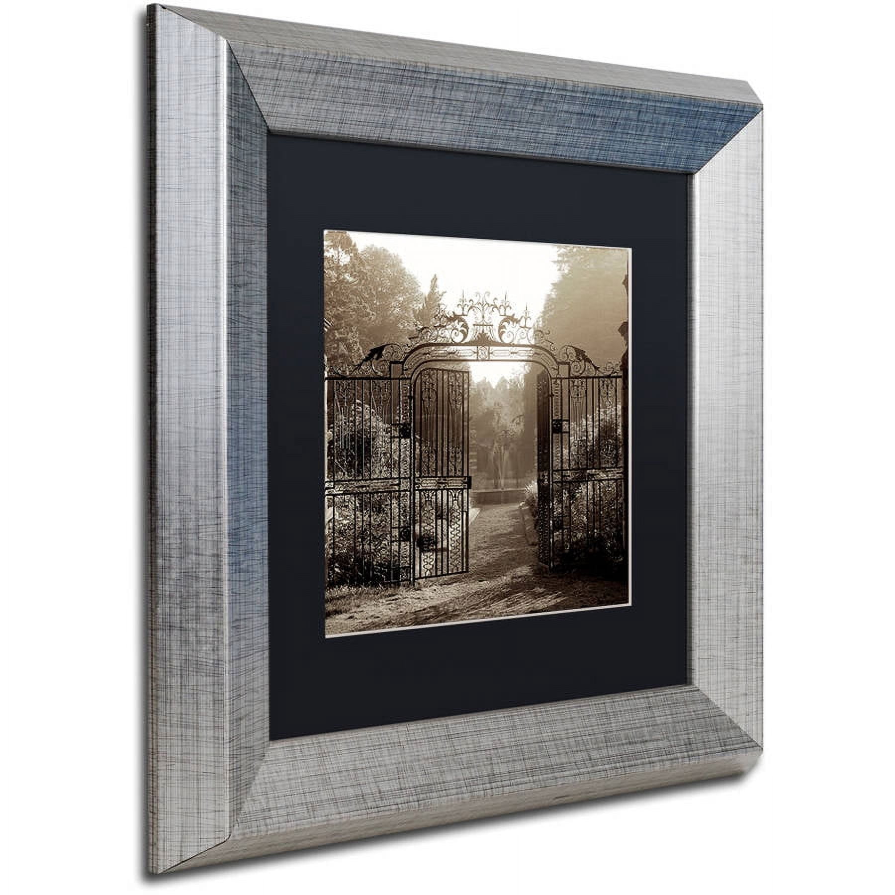 Trademark Fine Art "Hampton Gates III" Canvas Art by Alan Blaustein, Black Matte, Silver Frame