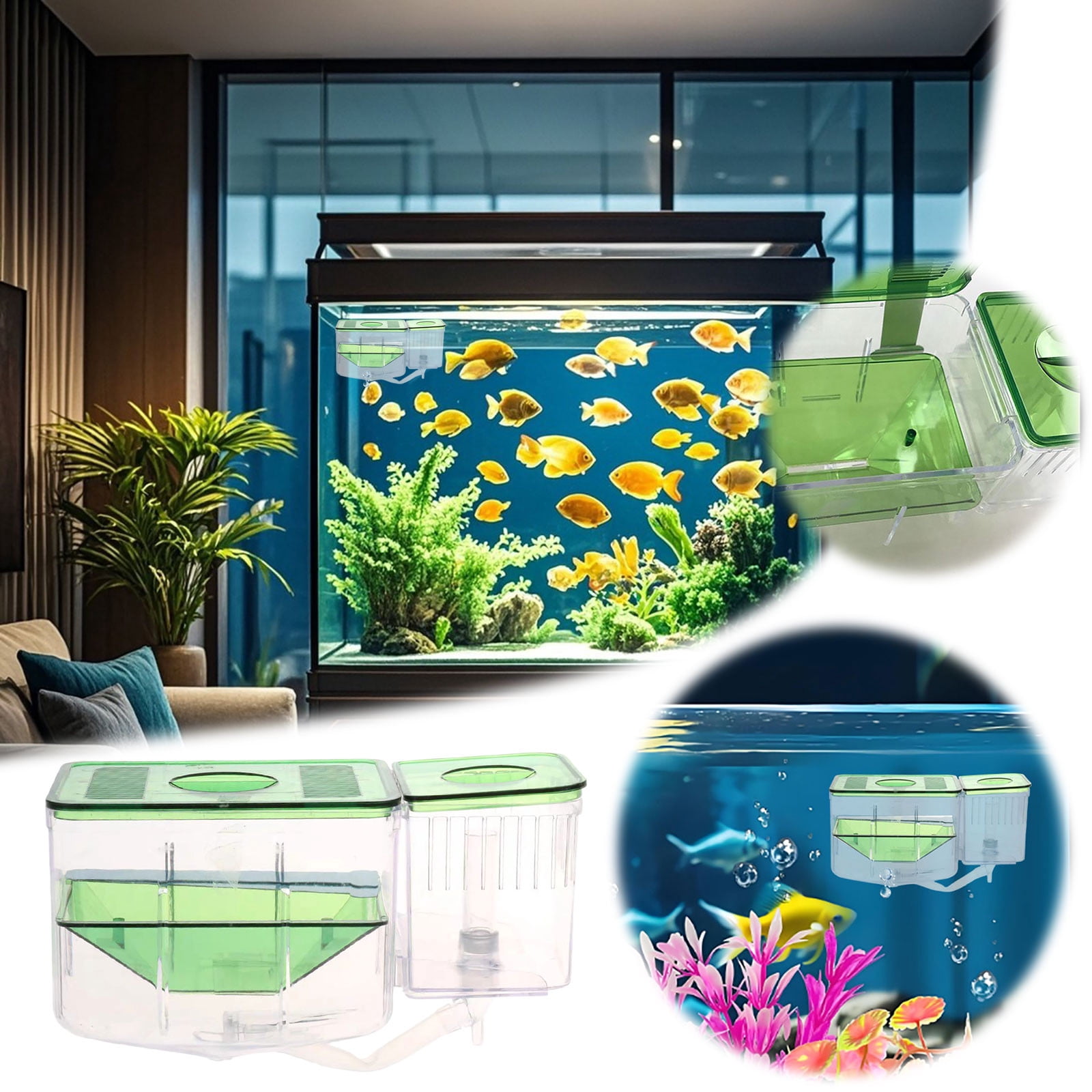 Aquarium Breeding Box - Transparent Fish Hatchery Nepal | Ubuy