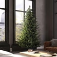thumbnail image 7 of Vickerman 7.5' x 55" Eagle Fraser Full Artificial Christmas Tree with Warm White Dura-lit LED Lights, 7 of 7