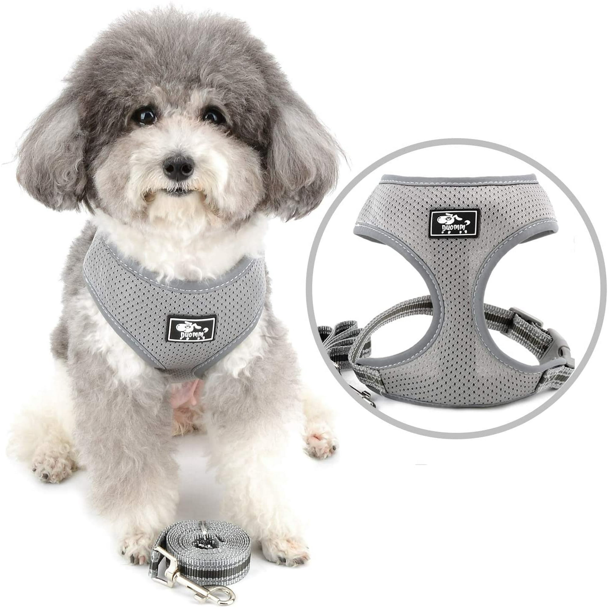 What Does Girth Mean On A Dog