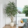 thumbnail image 4 of 8ft Artificial Ficus Tree with 18 inch White Planter, Tall Fake Ficus Trees for Indoor, Faux Ficus Silk Tree, Large Ficus Plants for Home Decor and Housewarming Gift, 4 of 8