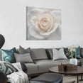 thumbnail image 4 of Shadudu Rose Canvas Wall Art 20x20in, 4 of 5